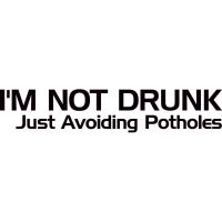 i-m-not-drunk-just-avoiding-potholes.jpg