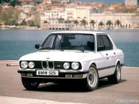 autowp.ru_bmw_5_series_e28_1[1] копия.jpg