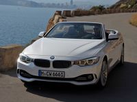 bmw_428i_cabrio_luxury_line_5.jpg